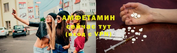 твердый Алексеевка