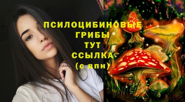 прущая мука Абинск