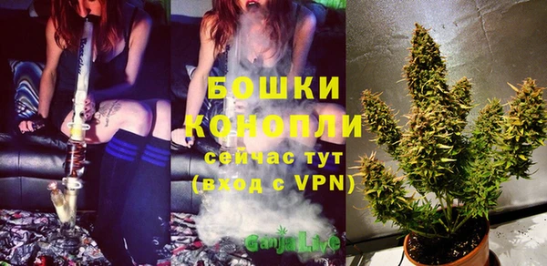 спайс Абаза