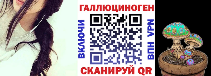 наркота  Дмитровск  Псилоцибиновые грибы MAGIC MUSHROOMS 